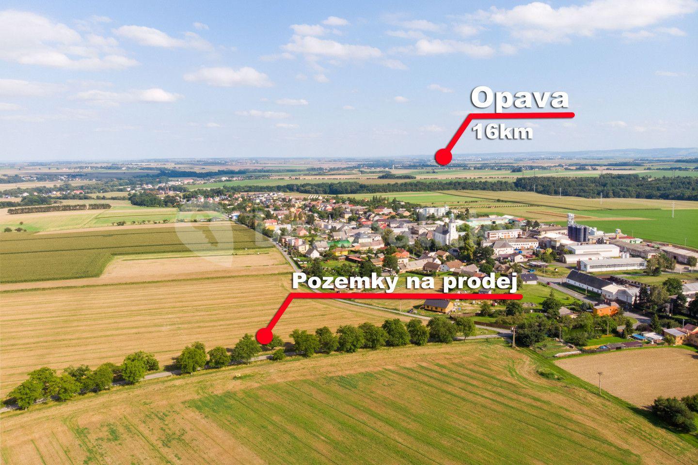 Prodej pozemku 2.042 m², Brumovice, Moravskoslezský kraj