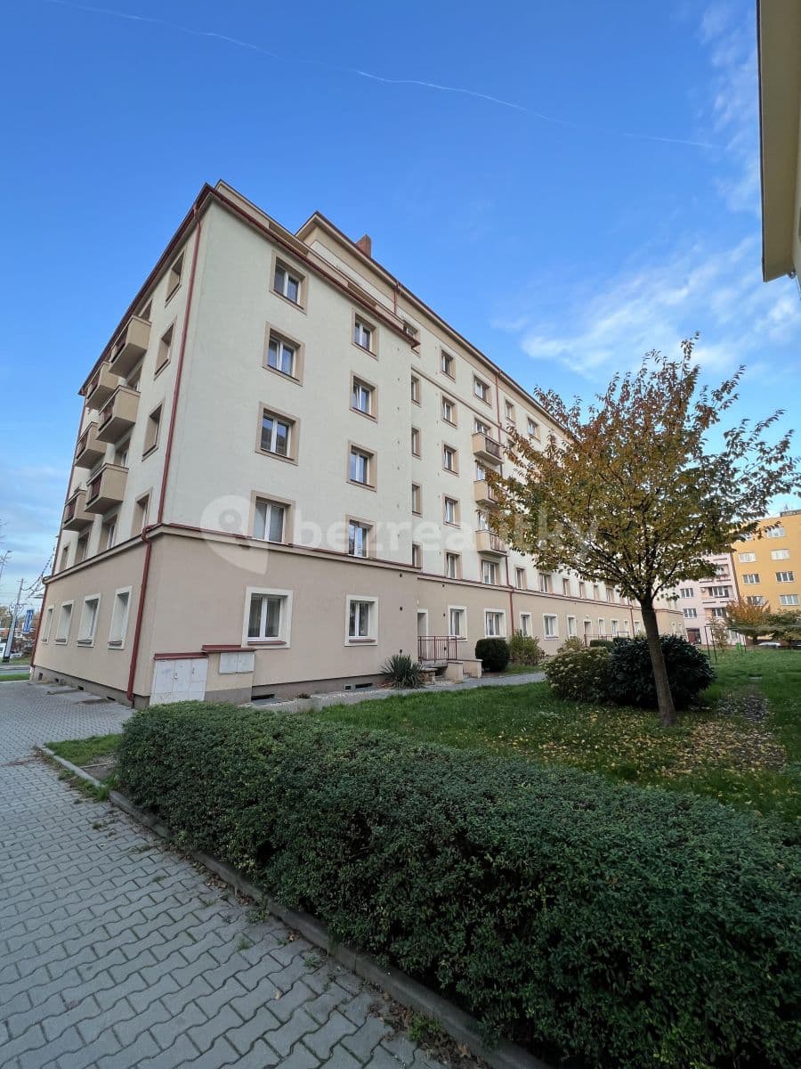 Pronájem bytu 2+1 62 m², Sukova třída, Pardubice, Pardubický kraj Pronájem bytu 2+1 62 m², Sukova třída, Pardubice, Pardubický kraj