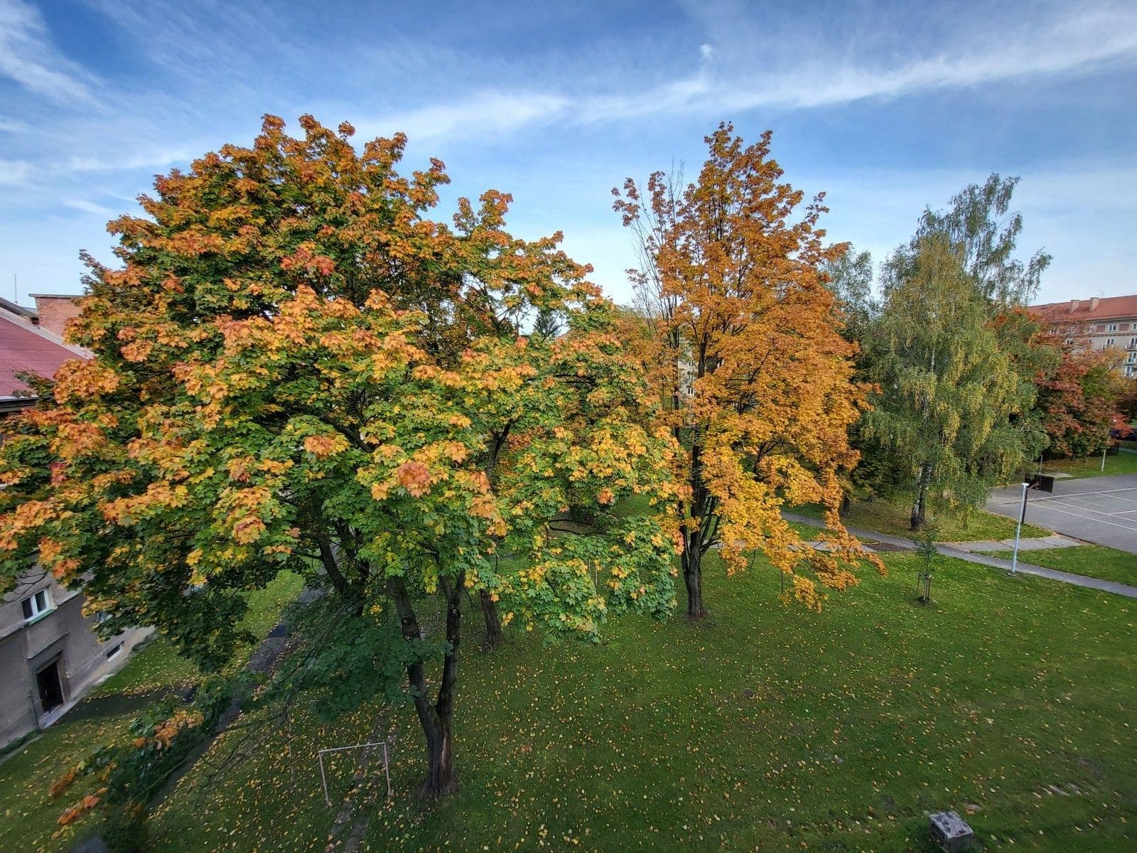 Pronájem bytu 2+1 53 m², Fibichova, Havířov, Moravskoslezský kraj Pronájem bytu 2+1 53 m², Fibichova, Havířov, Moravskoslezský kraj
