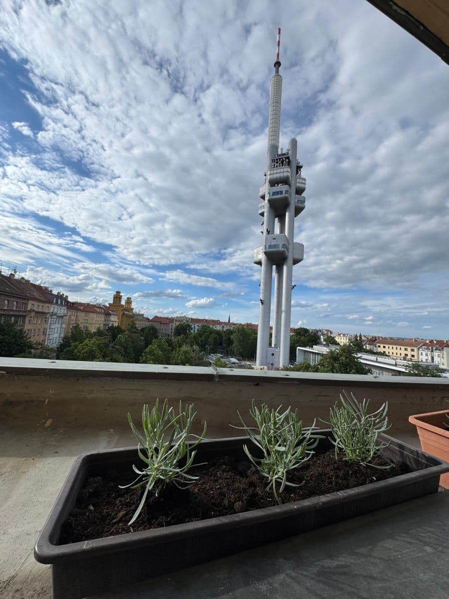 Pronájem bytu 2+kk 74 m², Ondříčkova, Praha, Praha Pronájem bytu 2+kk 74 m², Ondříčkova, Praha, Praha