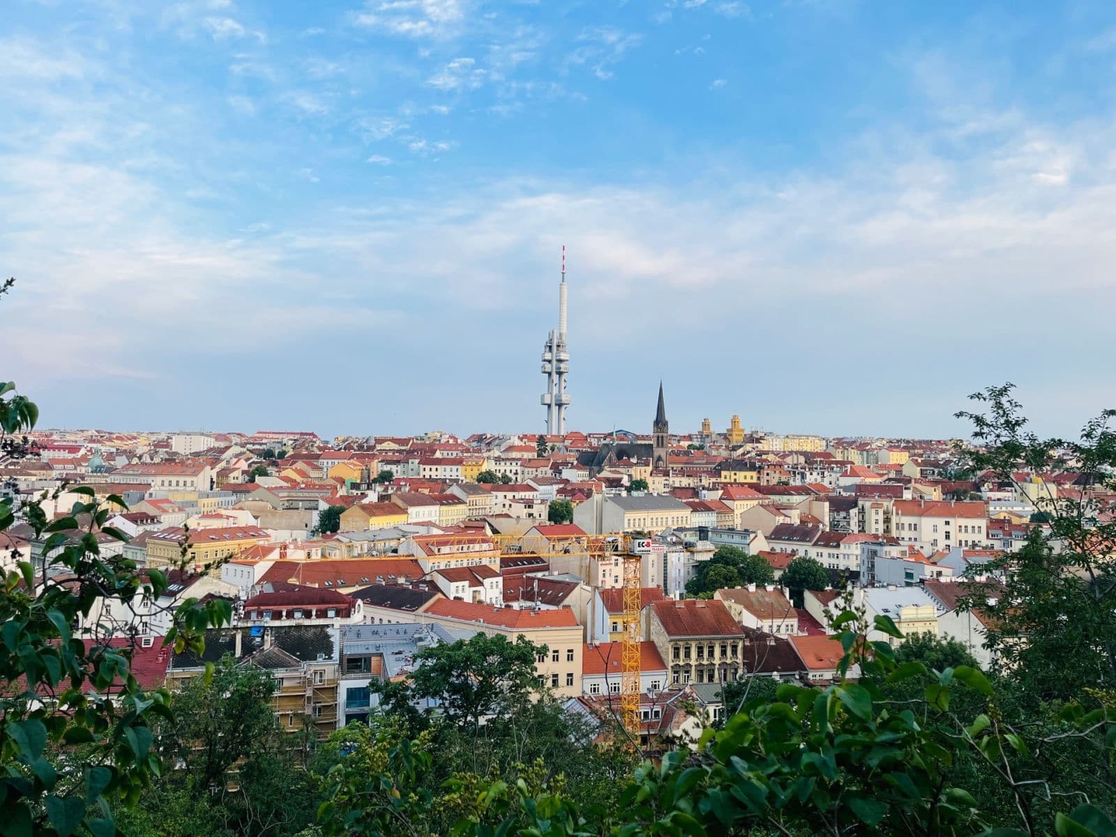 Pronájem bytu 1+kk 44 m², Koněvova, Praha, Praha Pronájem bytu 1+kk 44 m², Koněvova, Praha, Praha
