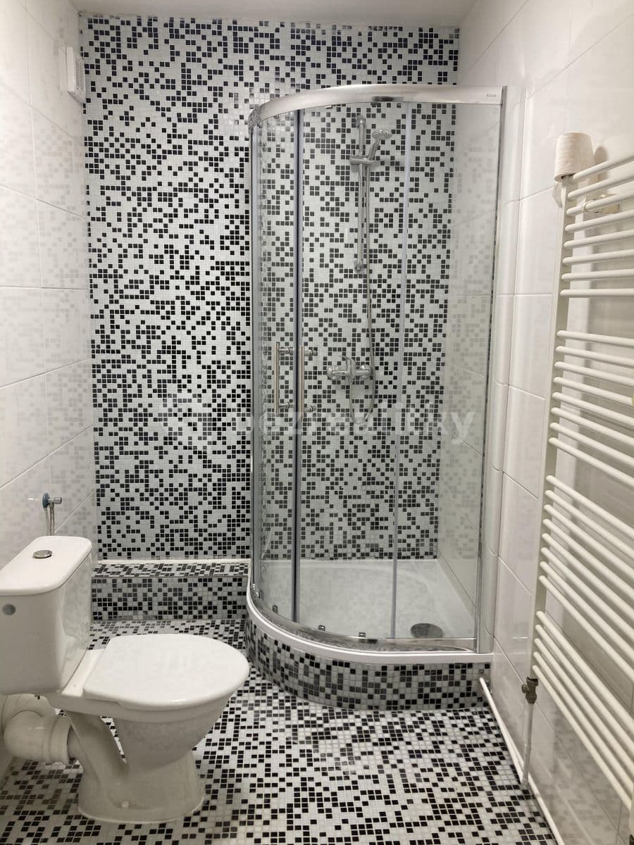 Pronájem bytu 1+kk 41 m², Čajkovského, Brno, Jihomoravský kraj Pronájem bytu 1+kk 41 m², Čajkovského, Brno, Jihomoravský kraj