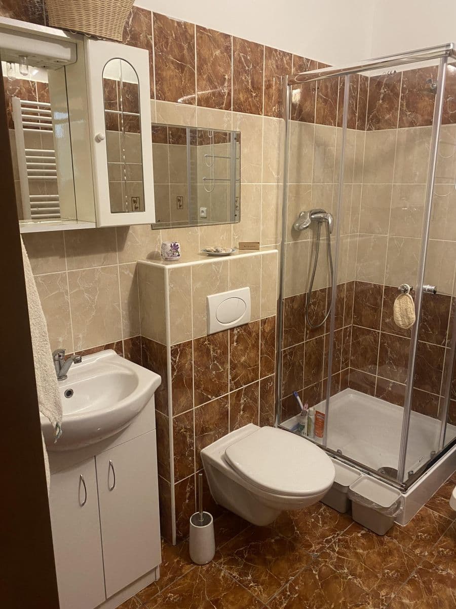 Pronájem bytu 1+kk 28 m², Buštěhradská, Praha, Praha Pronájem bytu 1+kk 28 m², Buštěhradská, Praha, Praha