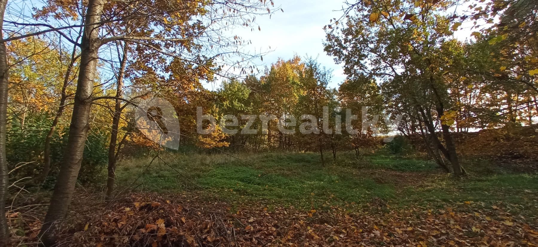 Prodej pozemku 4.000 m², Rakovice, Jihočeský kraj