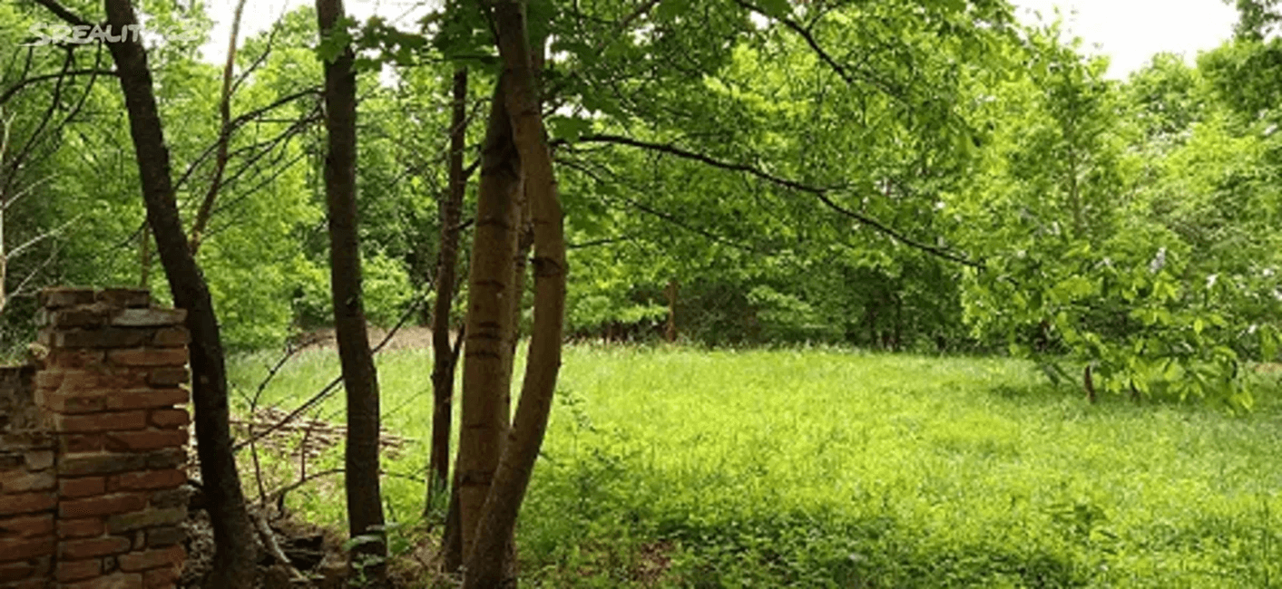 Prodej pozemku 4.000 m², Rakovice, Jihočeský kraj Prodej pozemku 4.000 m², Rakovice, Jihočeský kraj