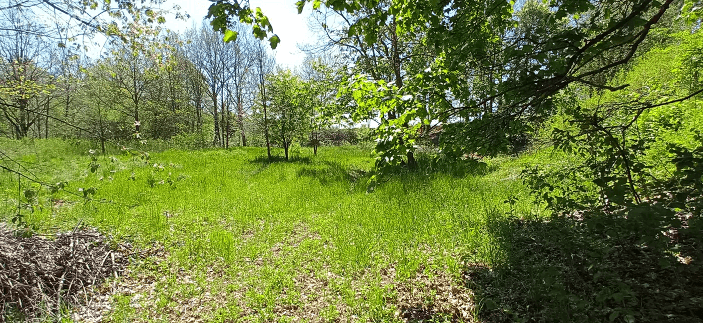 Prodej pozemku 4.000 m², Rakovice, Jihočeský kraj Prodej pozemku 4.000 m², Rakovice, Jihočeský kraj