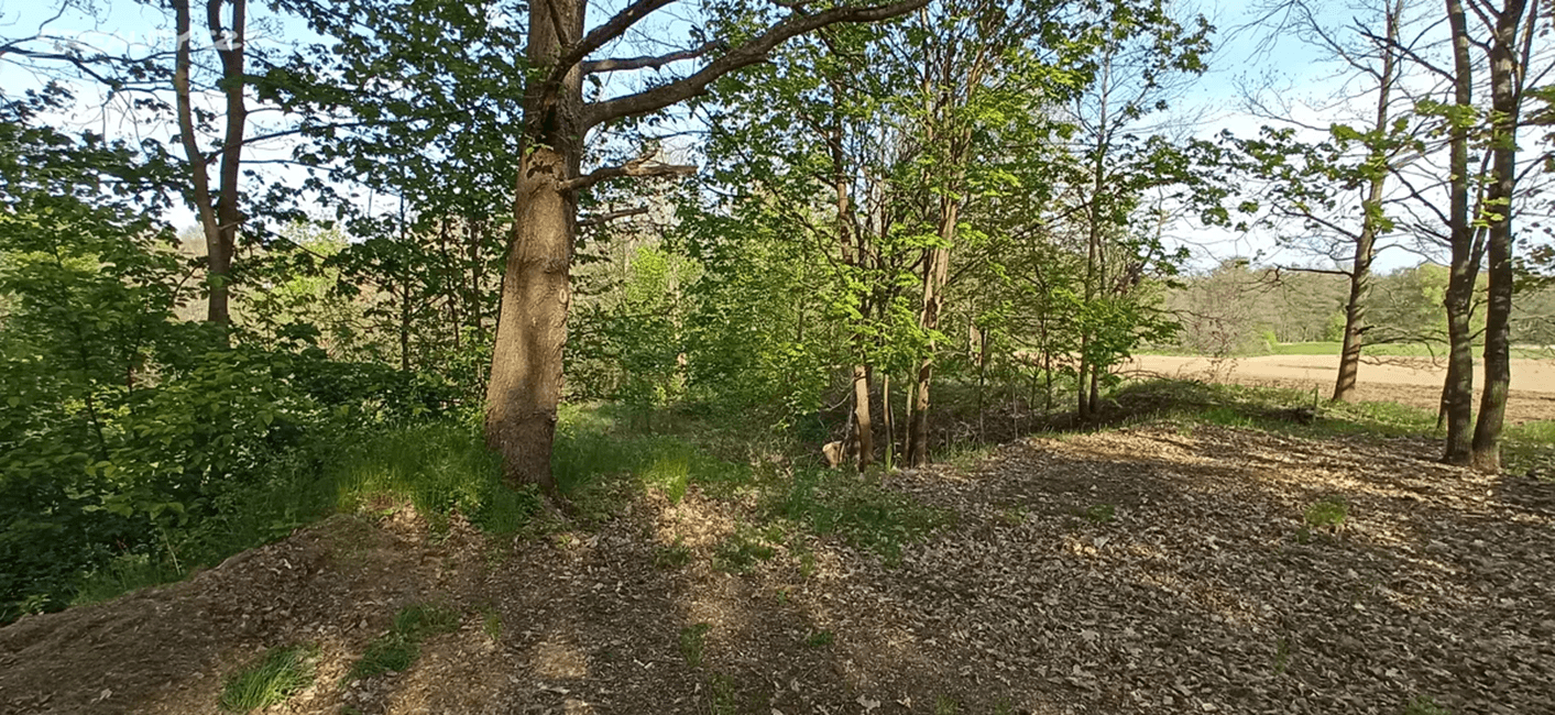 Prodej pozemku 4.000 m², Rakovice, Jihočeský kraj Prodej pozemku 4.000 m², Rakovice, Jihočeský kraj