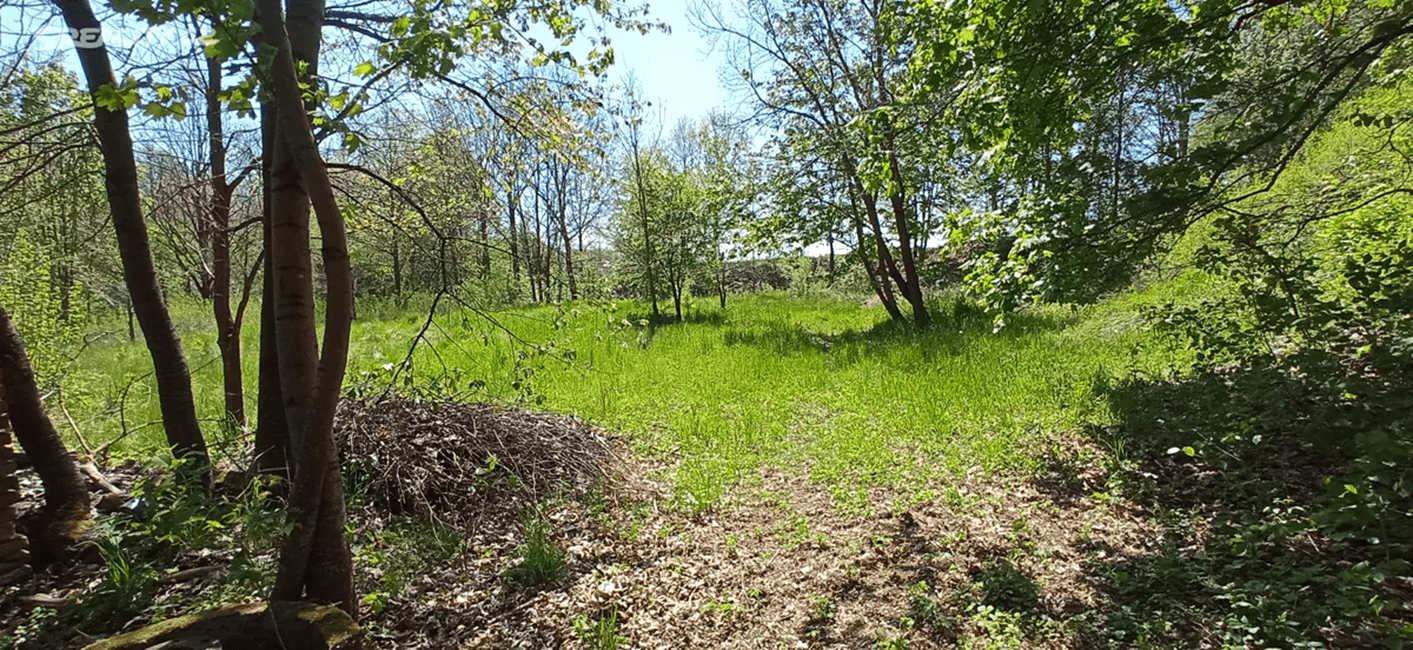 Prodej pozemku 4.000 m², Rakovice, Jihočeský kraj Prodej pozemku 4.000 m², Rakovice, Jihočeský kraj