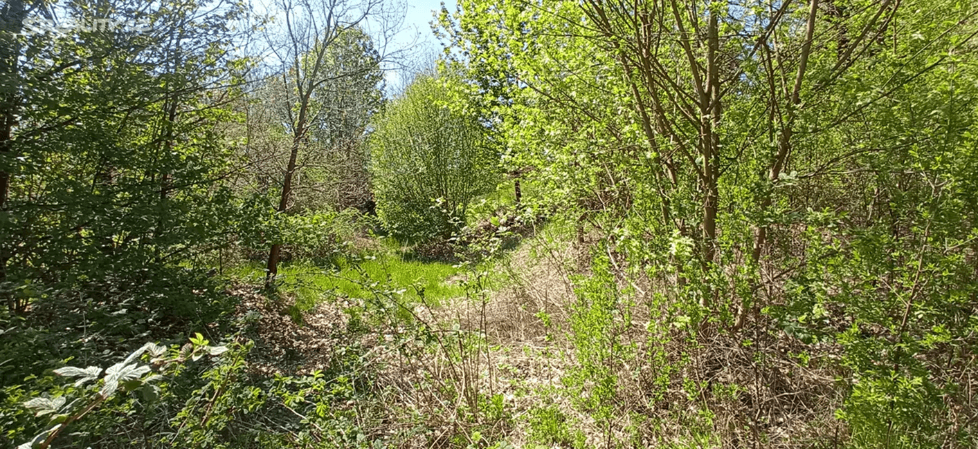 Prodej pozemku 4.000 m², Rakovice, Jihočeský kraj Prodej pozemku 4.000 m², Rakovice, Jihočeský kraj