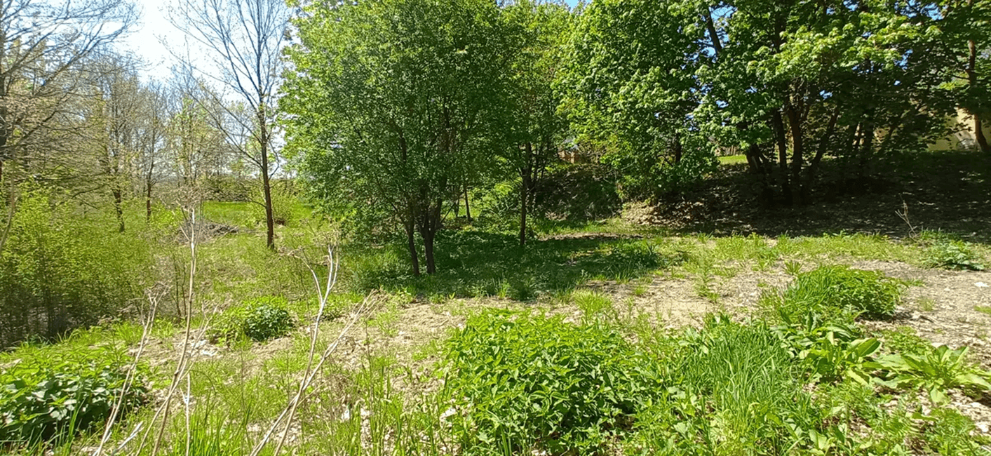 Prodej pozemku 4.000 m², Rakovice, Jihočeský kraj Prodej pozemku 4.000 m², Rakovice, Jihočeský kraj