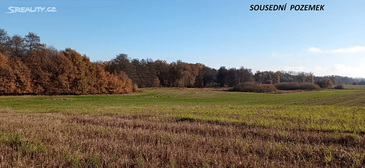 Prodej pozemku 4.000 m², Rakovice, Jihočeský kraj Prodej pozemku 4.000 m², Rakovice, Jihočeský kraj