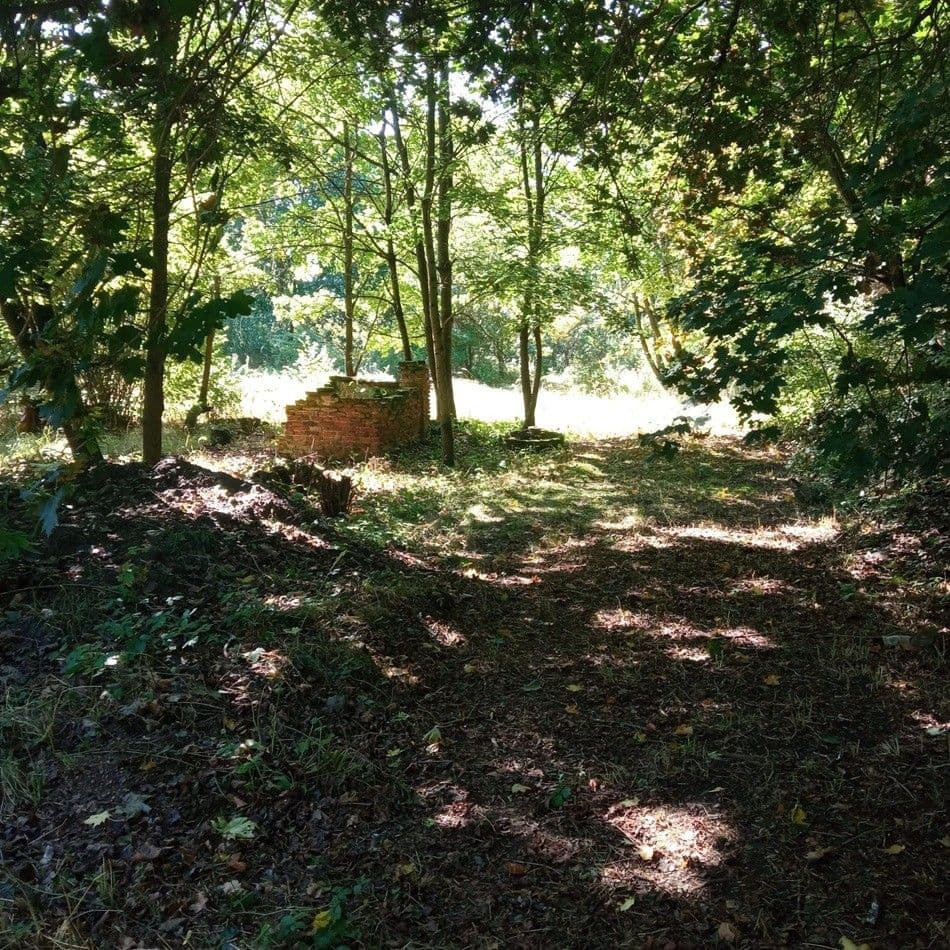 Prodej pozemku 4.000 m², Rakovice, Jihočeský kraj Prodej pozemku 4.000 m², Rakovice, Jihočeský kraj