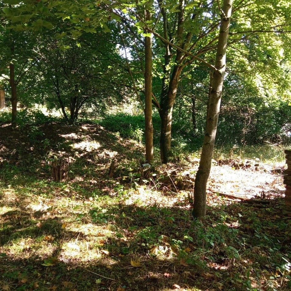 Prodej pozemku 4.000 m², Rakovice, Jihočeský kraj Prodej pozemku 4.000 m², Rakovice, Jihočeský kraj