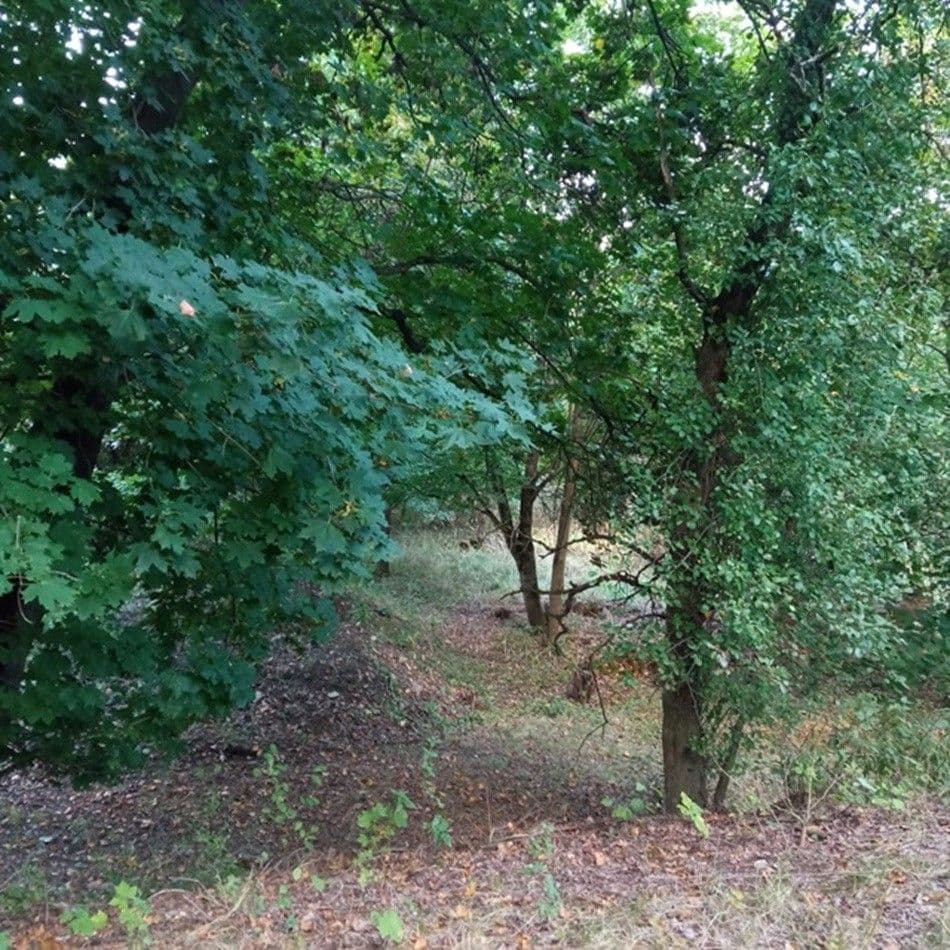 Prodej pozemku 4.000 m², Rakovice, Jihočeský kraj Prodej pozemku 4.000 m², Rakovice, Jihočeský kraj