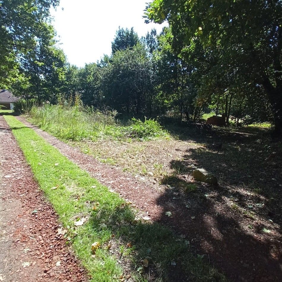 Prodej pozemku 4.000 m², Rakovice, Jihočeský kraj Prodej pozemku 4.000 m², Rakovice, Jihočeský kraj