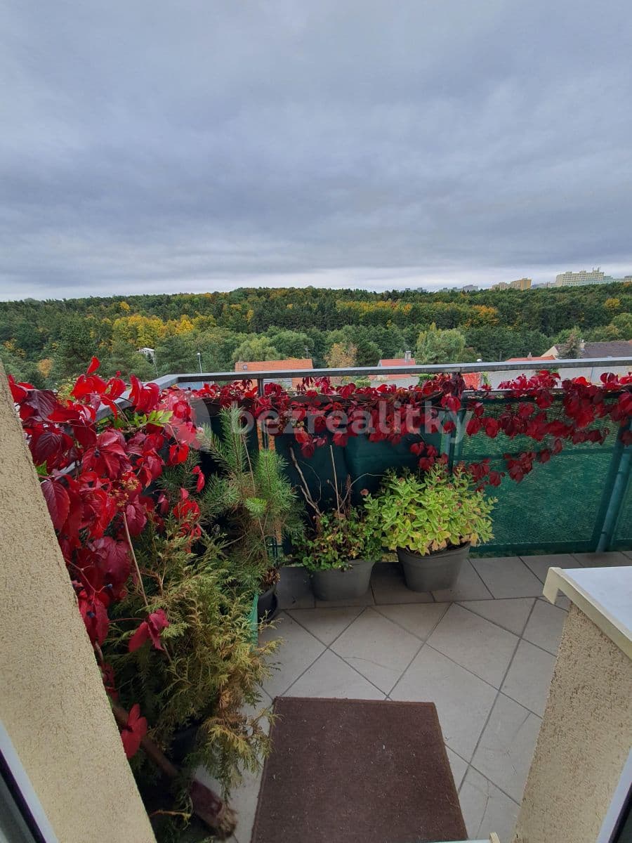 Pronájem bytu 2+kk 53 m², Bratislavská, Praha, Praha Pronájem bytu 2+kk 53 m², Bratislavská, Praha, Praha