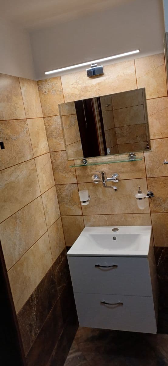 Pronájem bytu 1+1 29 m², Palírenská, Brno, Jihomoravský kraj Pronájem bytu 1+1 29 m², Palírenská, Brno, Jihomoravský kraj