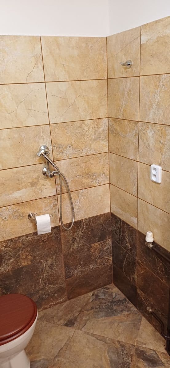 Pronájem bytu 1+1 29 m², Palírenská, Brno, Jihomoravský kraj Pronájem bytu 1+1 29 m², Palírenská, Brno, Jihomoravský kraj