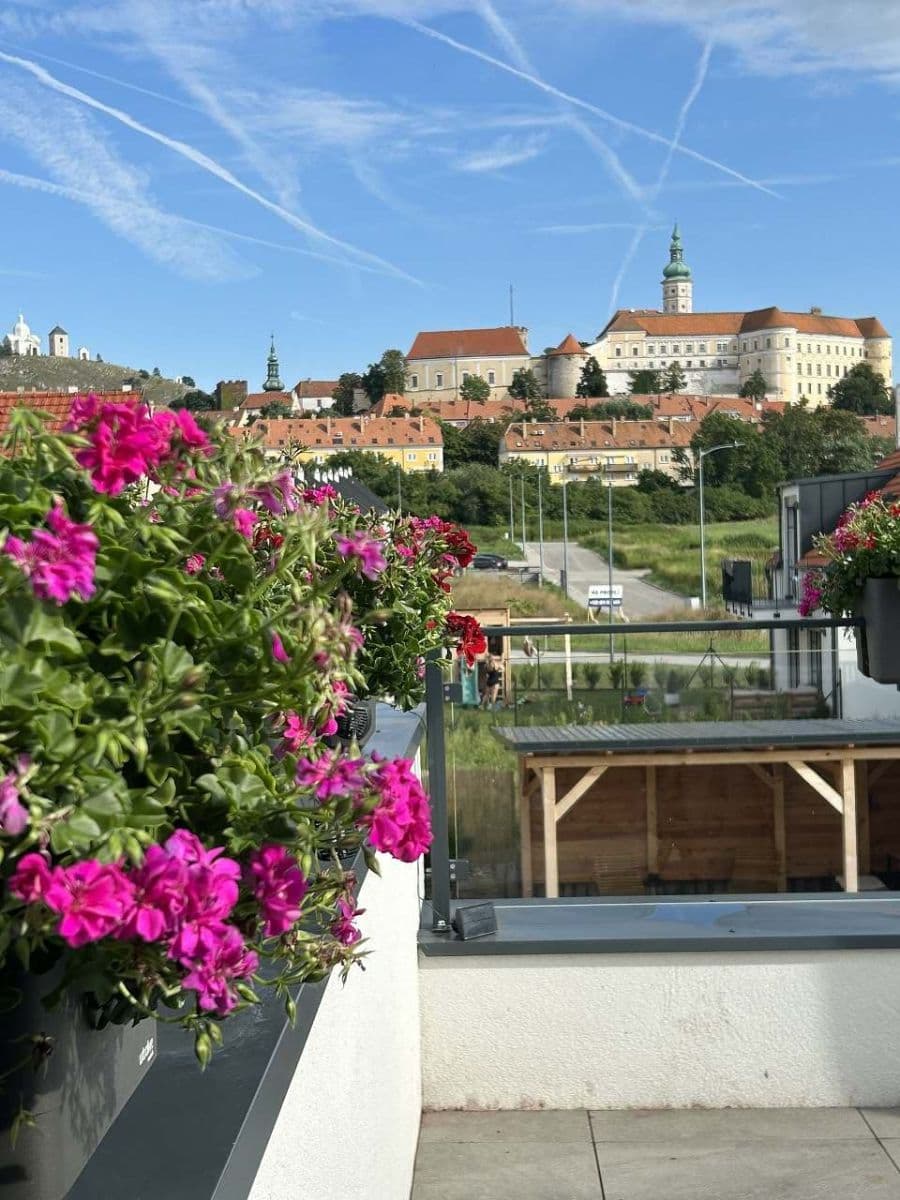 Pronájem chaty, chalupy, Mikulov, Jihomoravský kraj Pronájem chaty, chalupy, Mikulov, Jihomoravský kraj