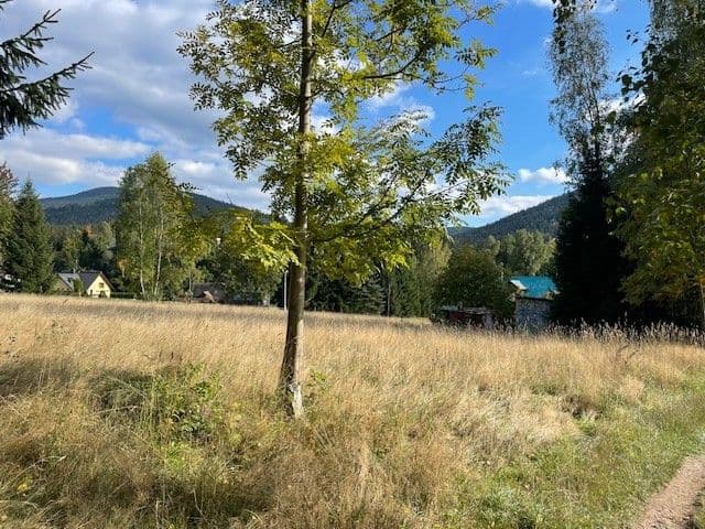 Prodej pozemku 2.555 m², Harrachov, Liberecký kraj Prodej pozemku 2.555 m², Harrachov, Liberecký kraj