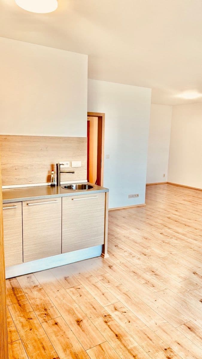 Pronájem bytu 1+kk 48 m², Novodvorská, Praha, Praha Pronájem bytu 1+kk 48 m², Novodvorská, Praha, Praha
