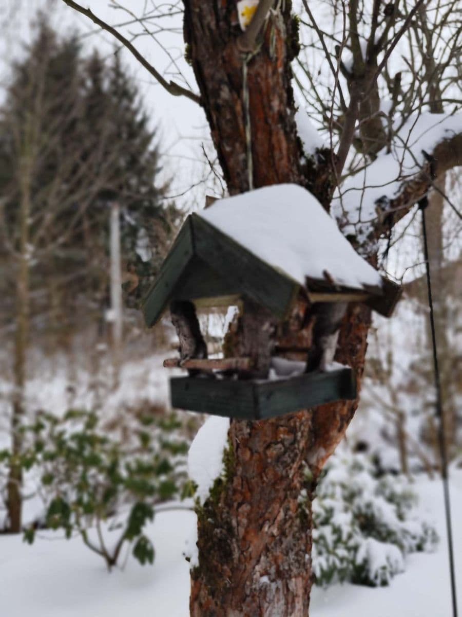 Pronájem chaty, chalupy, Levínská Olešnice, Liberecký kraj Pronájem chaty, chalupy, Levínská Olešnice, Liberecký kraj