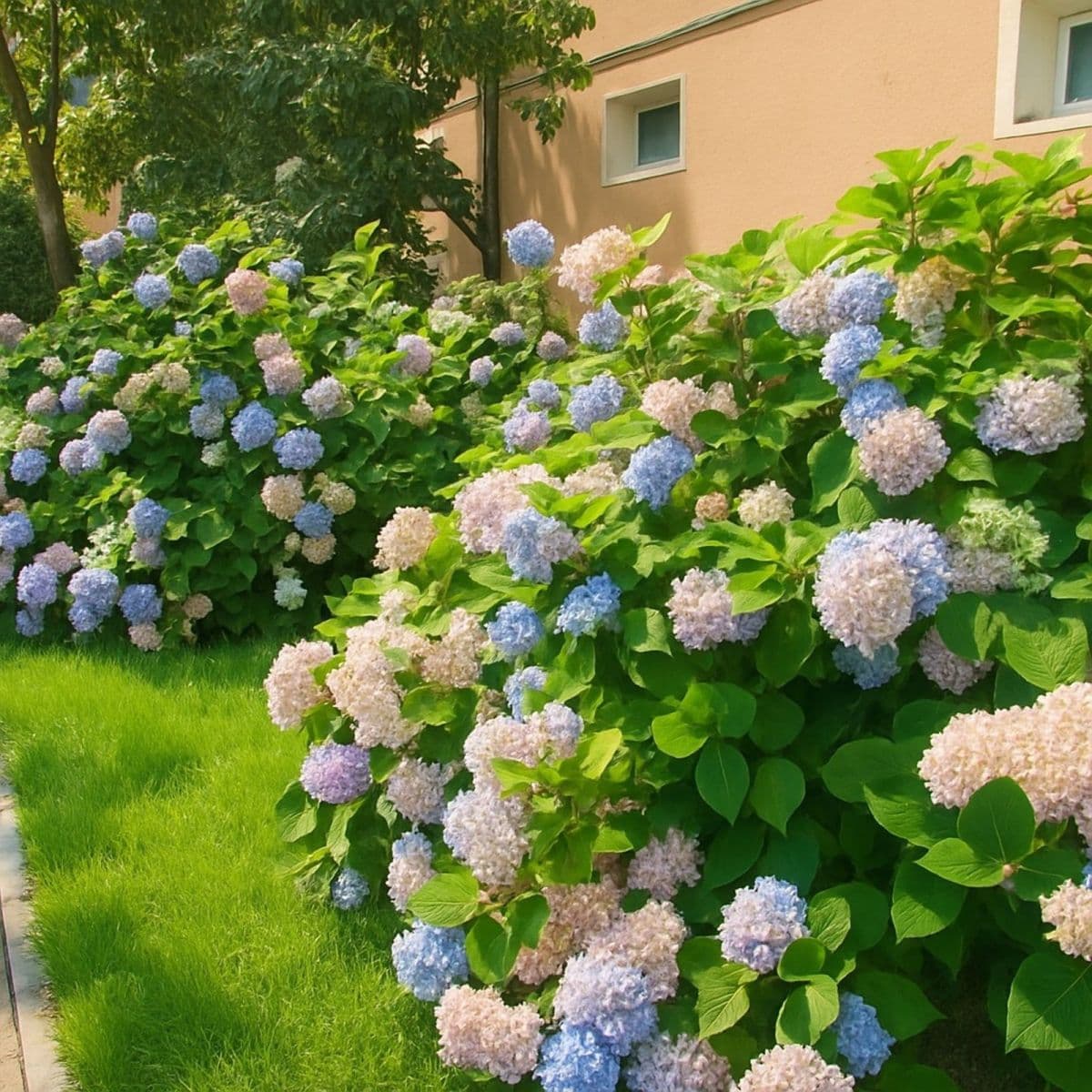 Pronájem bytu 3+1 63 m², Hybešova, Havířov, Moravskoslezský kraj Pronájem bytu 3+1 63 m², Hybešova, Havířov, Moravskoslezský kraj