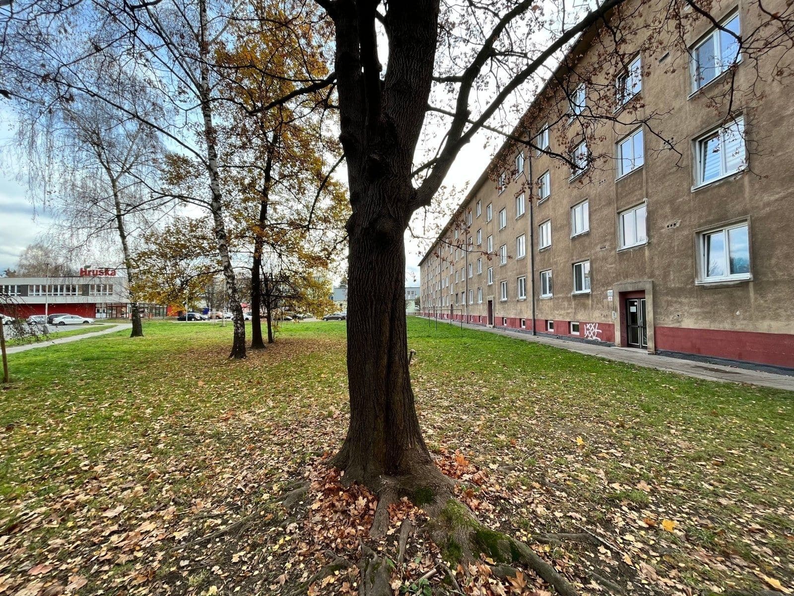 Pronájem bytu 2+1 49 m², Holubova, Karviná, Moravskoslezský kraj Pronájem bytu 2+1 49 m², Holubova, Karviná, Moravskoslezský kraj