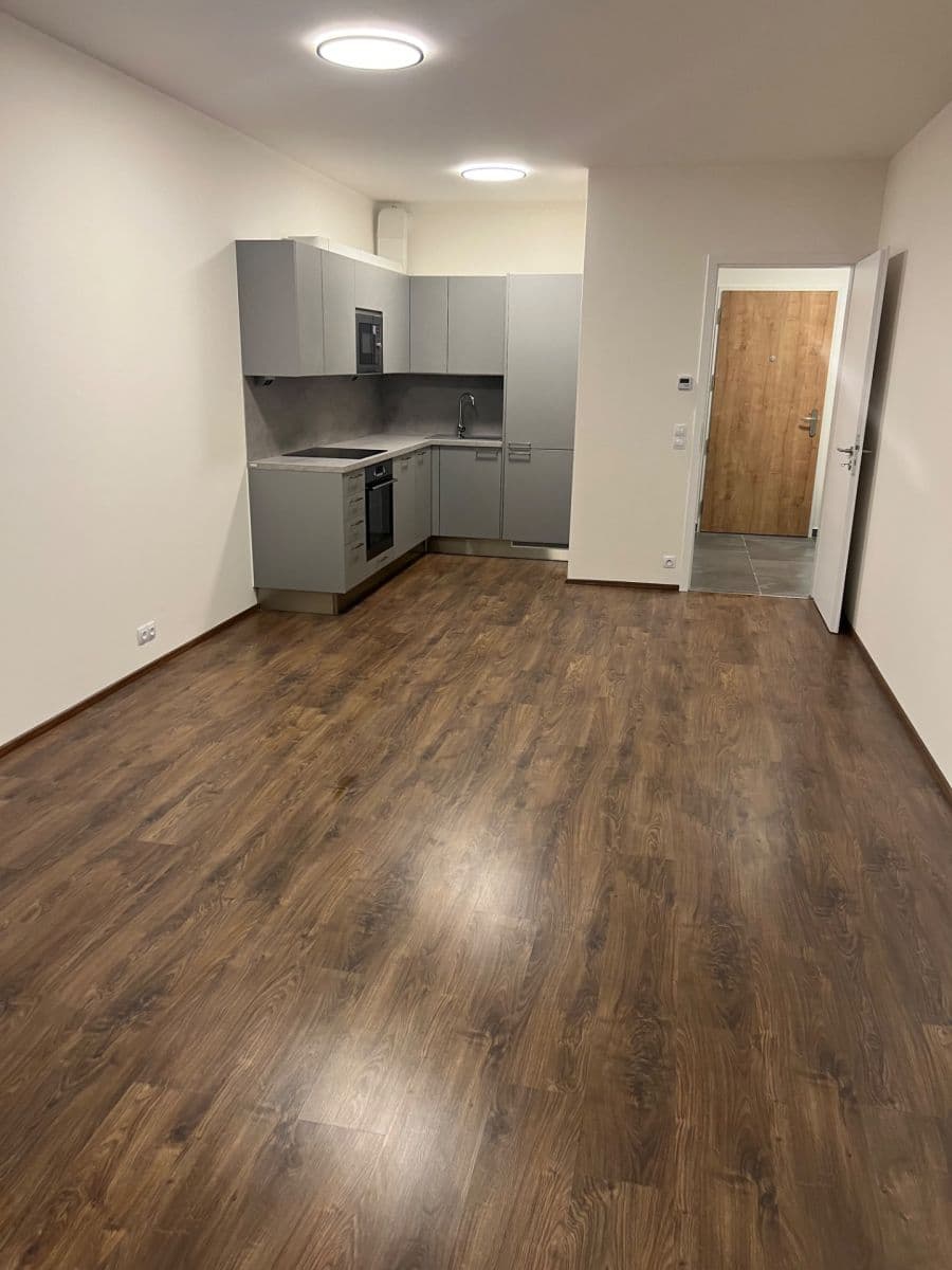 Pronájem bytu 2+kk 61 m², Ivana Hlinky, Praha, Praha Pronájem bytu 2+kk 61 m², Ivana Hlinky, Praha, Praha