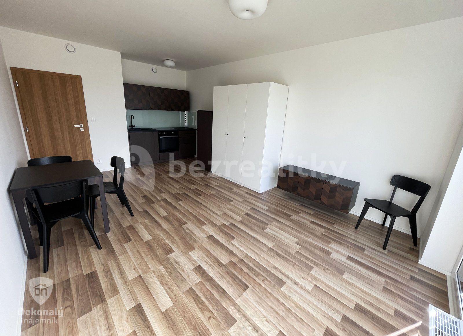 Pronájem bytu 1+kk 30 m², U Nového dvora, Praha, Praha