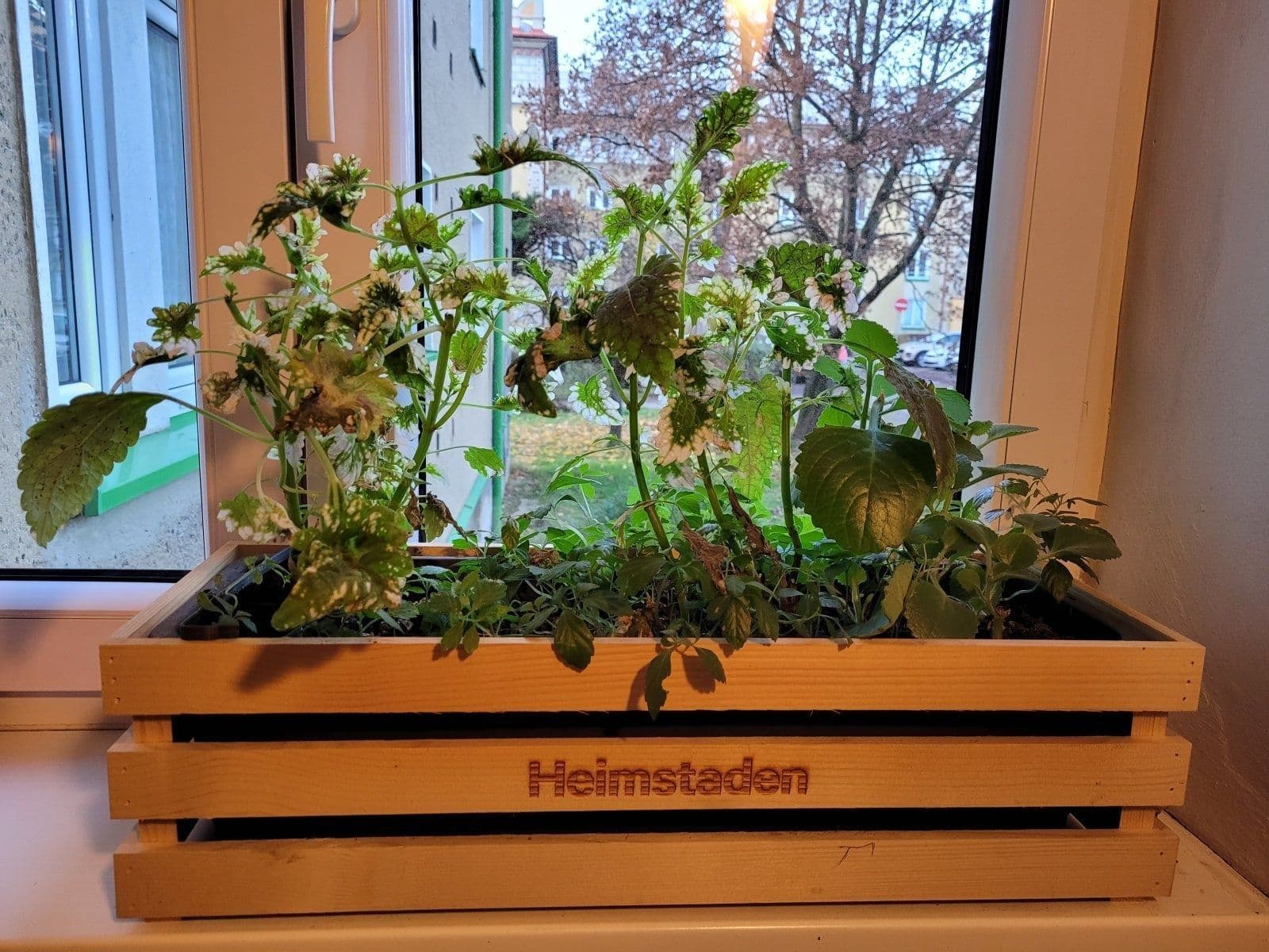 Pronájem bytu 2+1 55 m², Marie Majerové, Havířov, Moravskoslezský kraj Pronájem bytu 2+1 55 m², Marie Majerové, Havířov, Moravskoslezský kraj