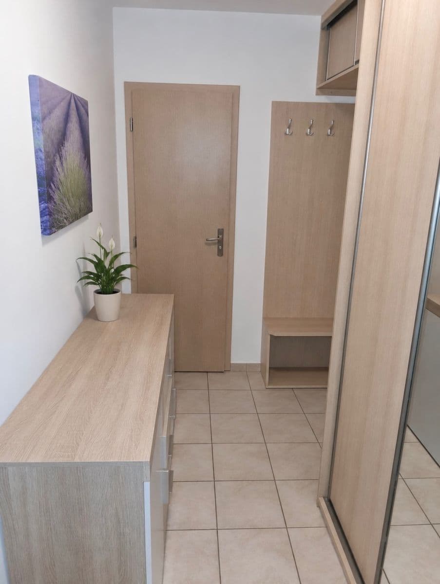 Pronájem bytu 2+kk 47 m², Vestec, Středočeský kraj Pronájem bytu 2+kk 47 m², Vestec, Středočeský kraj