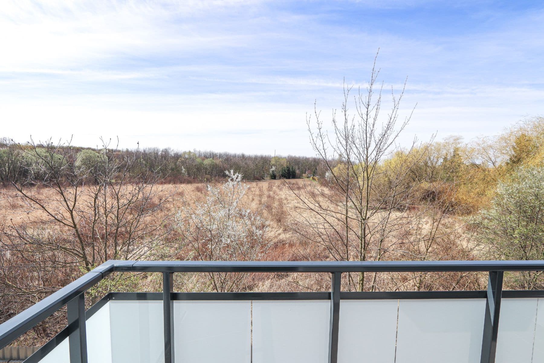 Pronájem bytu 1+kk 33 m², Františka Diviše, Praha, Praha Pronájem bytu 1+kk 33 m², Františka Diviše, Praha, Praha