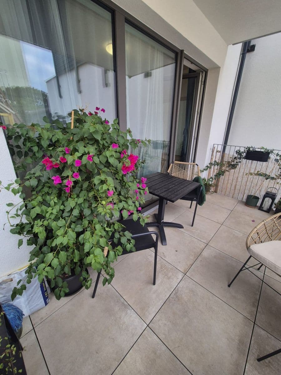 Pronájem bytu 1+kk 40 m², Horova, Brno, Jihomoravský kraj Pronájem bytu 1+kk 40 m², Horova, Brno, Jihomoravský kraj