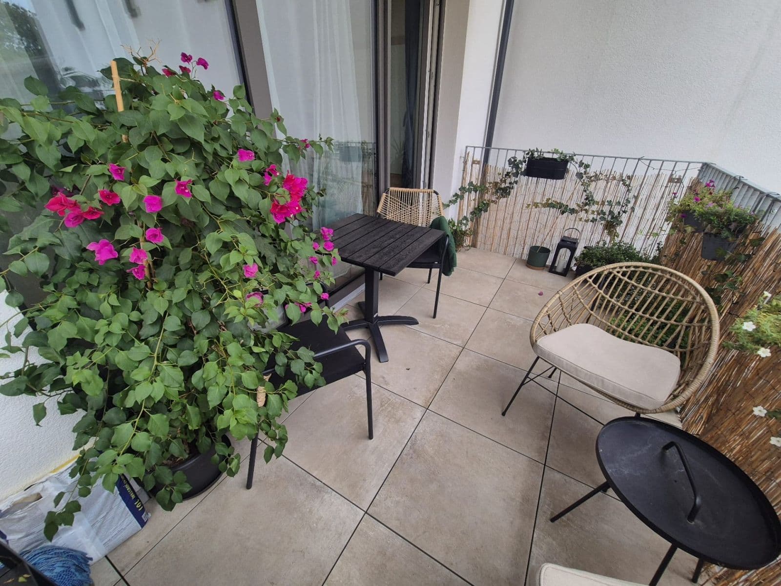 Pronájem bytu 1+kk 40 m², Horova, Brno, Jihomoravský kraj Pronájem bytu 1+kk 40 m², Horova, Brno, Jihomoravský kraj