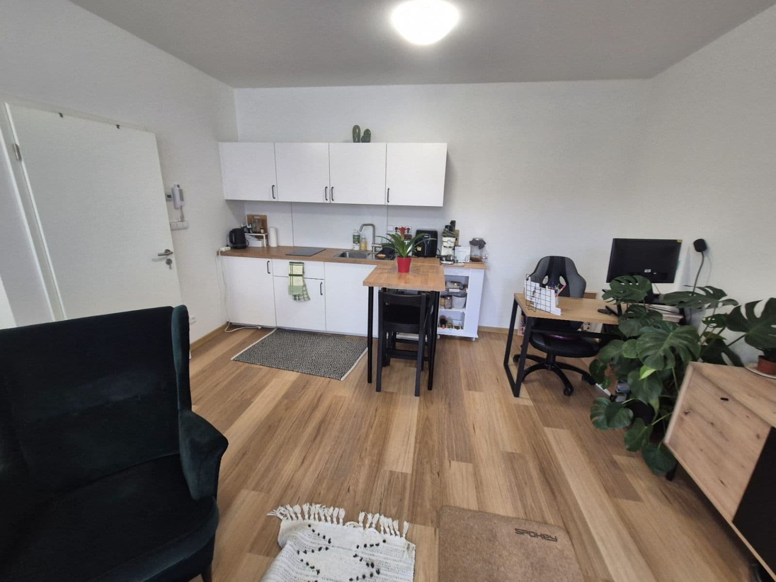 Pronájem bytu 1+kk 40 m², Horova, Brno, Jihomoravský kraj Pronájem bytu 1+kk 40 m², Horova, Brno, Jihomoravský kraj