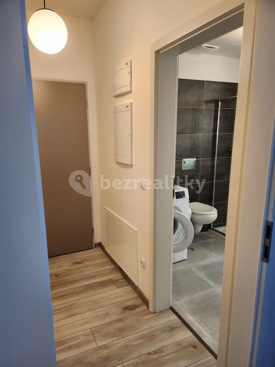 Pronájem bytu 1+kk 50 m², České Budějovice, Jihočeský kraj Pronájem bytu 1+kk 50 m², České Budějovice, Jihočeský kraj