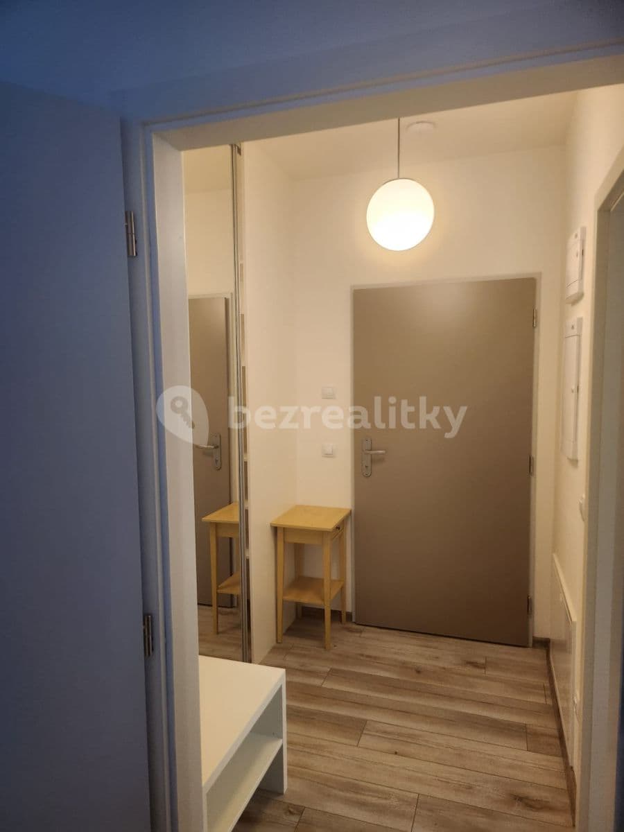 Pronájem bytu 1+kk 50 m², České Budějovice, Jihočeský kraj Pronájem bytu 1+kk 50 m², České Budějovice, Jihočeský kraj