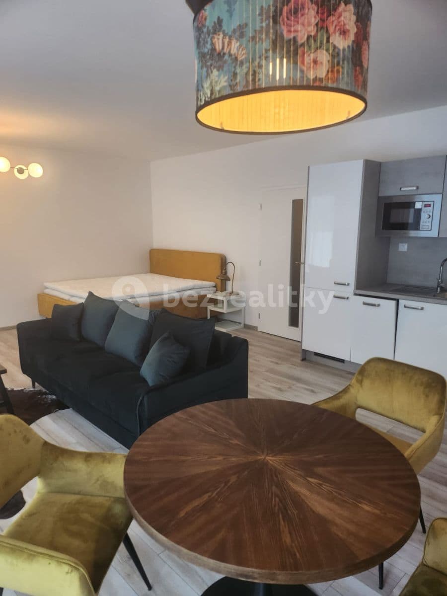 Pronájem bytu 1+kk 50 m², České Budějovice, Jihočeský kraj Pronájem bytu 1+kk 50 m², České Budějovice, Jihočeský kraj