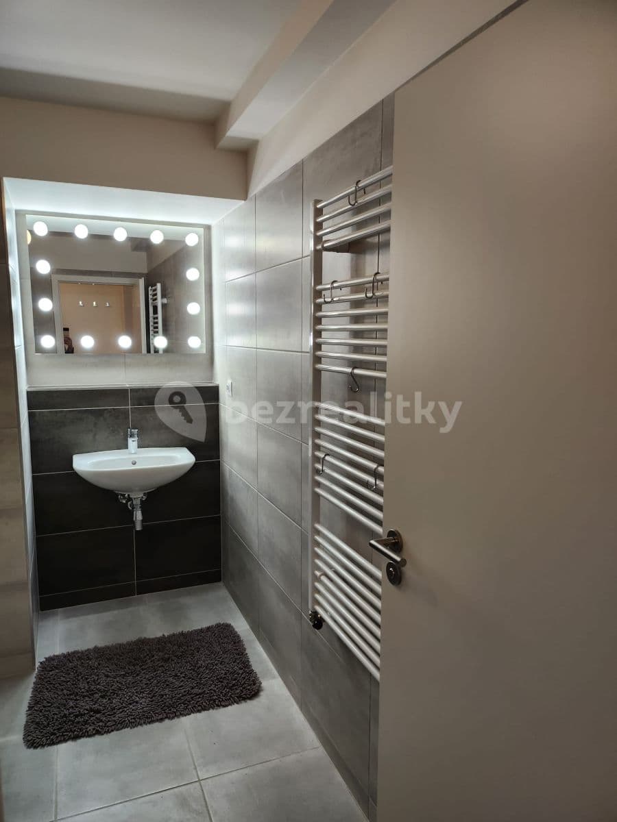 Pronájem bytu 1+kk 50 m², České Budějovice, Jihočeský kraj Pronájem bytu 1+kk 50 m², České Budějovice, Jihočeský kraj