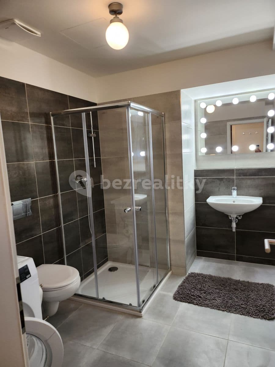 Pronájem bytu 1+kk 50 m², České Budějovice, Jihočeský kraj Pronájem bytu 1+kk 50 m², České Budějovice, Jihočeský kraj