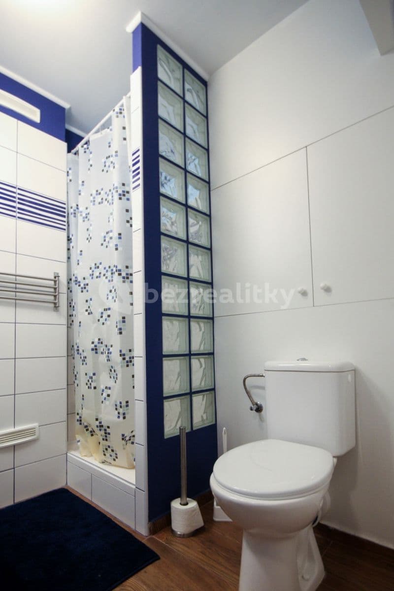 Pronájem bytu 1+kk 28 m², Nekvasilova, Praha, Praha Pronájem bytu 1+kk 28 m², Nekvasilova, Praha, Praha