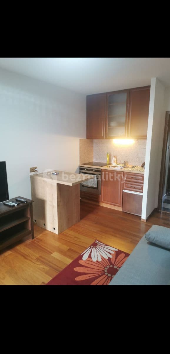 Pronájem bytu 1+kk 25 m², Severní, Zvole, Středočeský kraj Pronájem bytu 1+kk 25 m², Severní, Zvole, Středočeský kraj