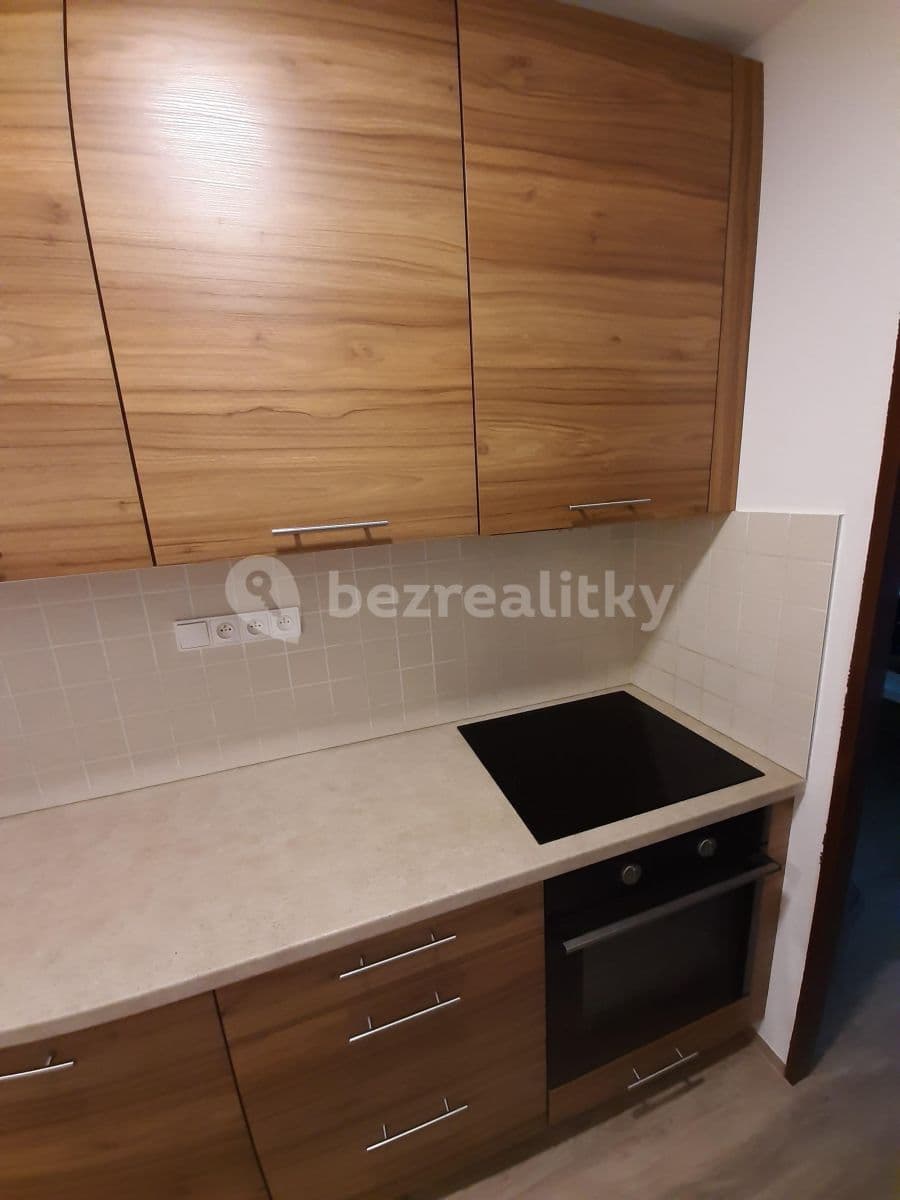 Pronájem bytu Garsoniéra 30 m², Libušino údolí, Brno, Jihomoravský kraj Pronájem bytu Garsoniéra 30 m², Libušino údolí, Brno, Jihomoravský kraj