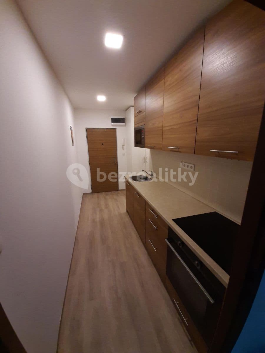 Pronájem bytu Garsoniéra 30 m², Libušino údolí, Brno, Jihomoravský kraj Pronájem bytu Garsoniéra 30 m², Libušino údolí, Brno, Jihomoravský kraj