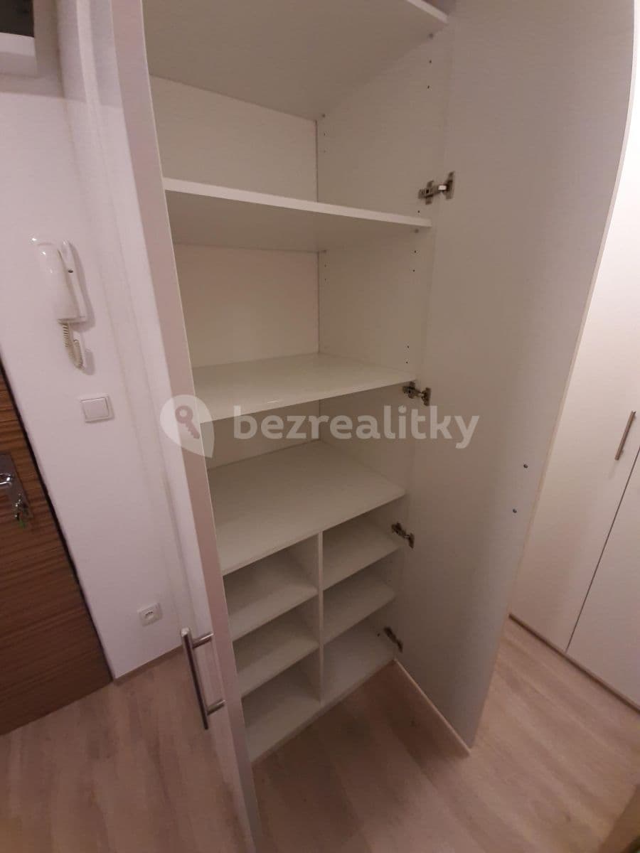 Pronájem bytu Garsoniéra 30 m², Libušino údolí, Brno, Jihomoravský kraj Pronájem bytu Garsoniéra 30 m², Libušino údolí, Brno, Jihomoravský kraj