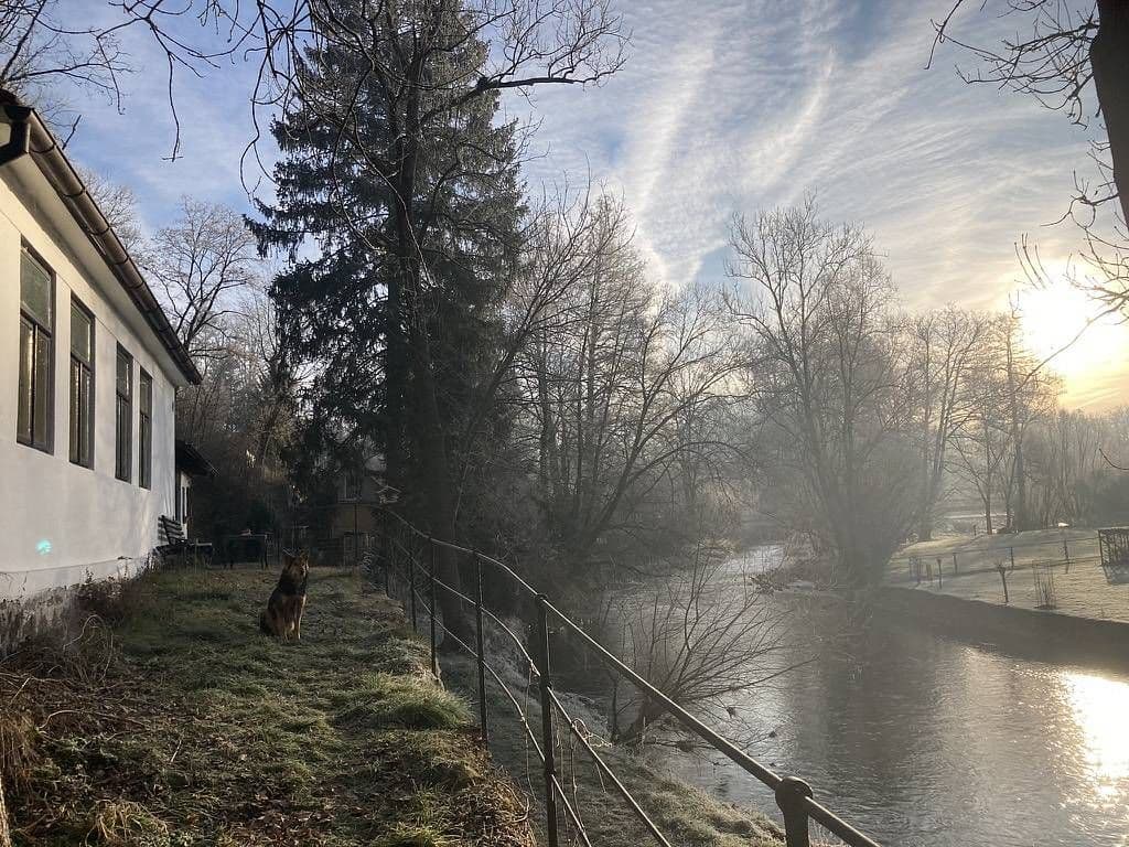 Pronájem chaty, chalupy, Plavsko, Jihočeský kraj Pronájem chaty, chalupy, Plavsko, Jihočeský kraj