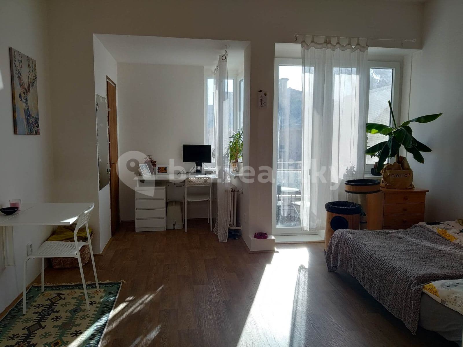 Pronájem bytu 1+kk 29 m², Dřevařská, Brno, Jihomoravský kraj Pronájem bytu 1+kk 29 m², Dřevařská, Brno, Jihomoravský kraj