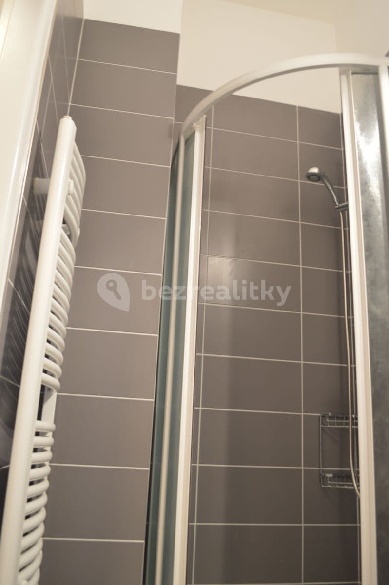 Pronájem bytu 1+kk 30 m², Přemyslovská, Praha, Praha Pronájem bytu 1+kk 30 m², Přemyslovská, Praha, Praha