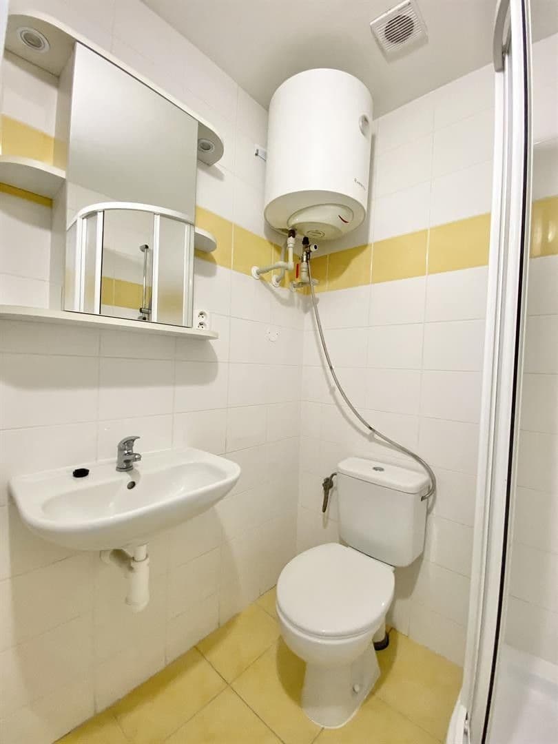 Pronájem bytu 1+kk 23 m², Mendlovo náměstí, Brno, Jihomoravský kraj Pronájem bytu 1+kk 23 m², Mendlovo náměstí, Brno, Jihomoravský kraj